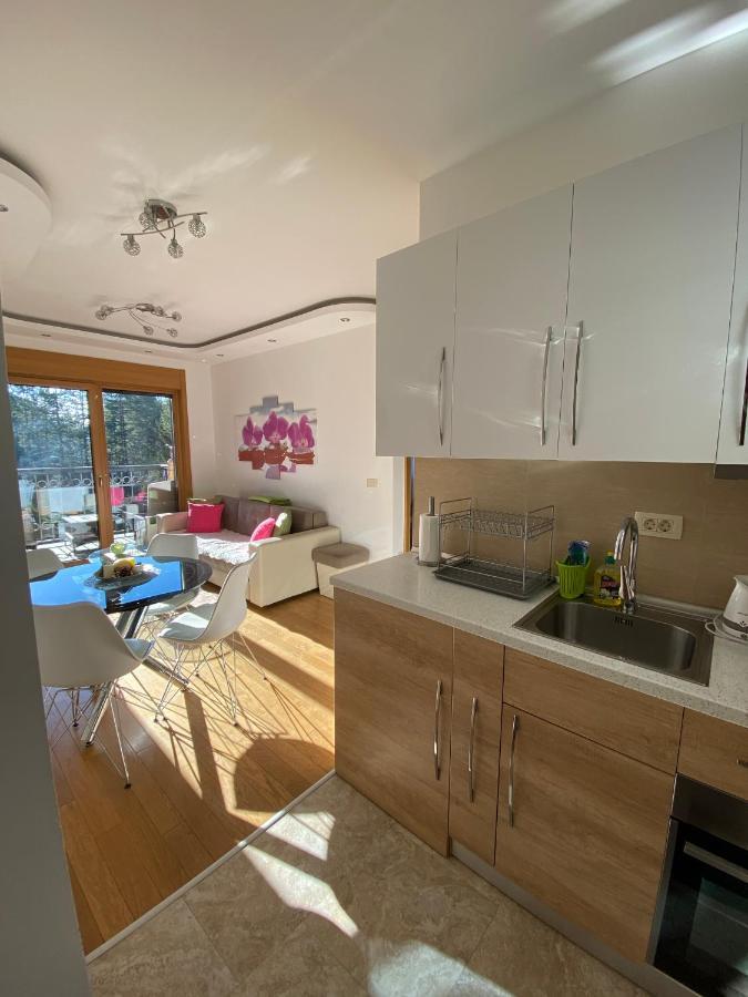 Apartment Stankovic Zlatibor