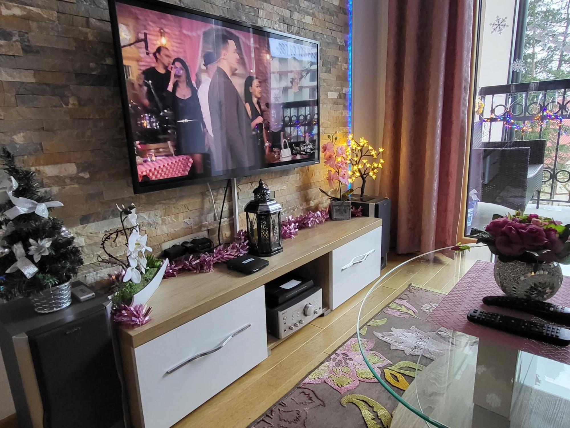 Apartment Stankovic *