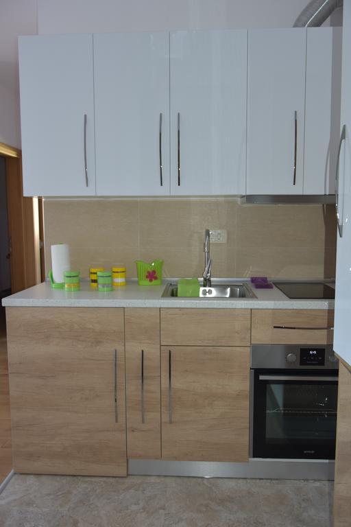 Apartment Stankovic *